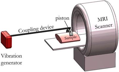 Actuators for MRE: New Perspectives With Flexible Electroactive Materials